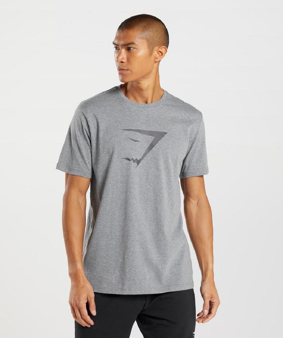 T Shirts Gymshark Sharkhead Infill Hombre Gris | CO 3316XYU